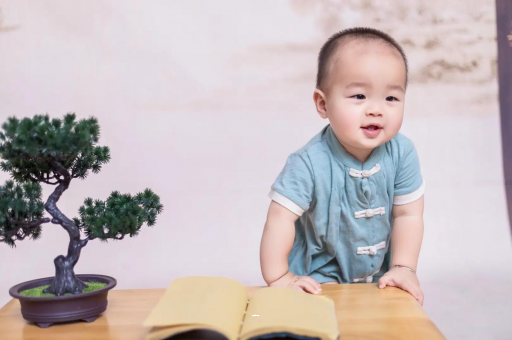 东海可爱的企鹅宝宝